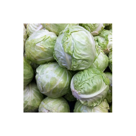 Cabbage Muttaigose 1kg Cabbage Muttaigose 1kg