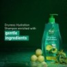 Nyle Naturals Dryness Hydration Shampoo, with Tulsi, Amla and Aloe