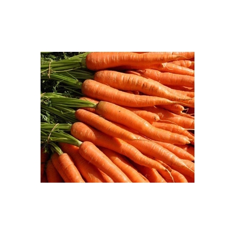 Carrot Approx. 1kg Carrot Approx. 1kg