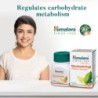Himalaya Meshashringi Metabolic Wellness Tablets (60 Tablets)