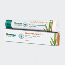 Himalaya Wellness Muscle & Joint Rub - Fast Relief from Muscular