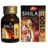 10 Capsules - Dabur Shilajit Gold Premium Vitality Ayurvedic