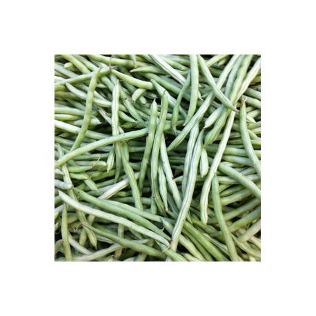French Beans 500g Short Beans French Beans 500g Short Beans