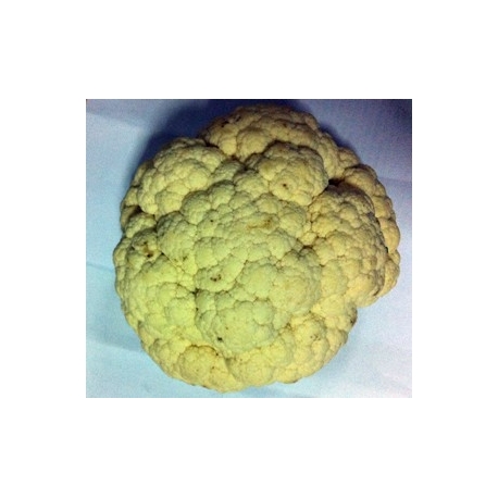Cauliflower Approx 500g Cauliflower Approx 500g