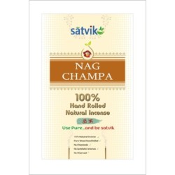 Satvik Assorted Incense Sticks (Agarbatti) (10 Packet of Each)hand
