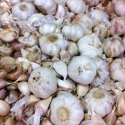 Garlic Poondu Whole 1 Pkt Garlic Poondu Whole 1 Pkt