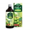 Dabur Amla Juice - Immunity Booster, Pure, Natural and 100% Ayurvedic