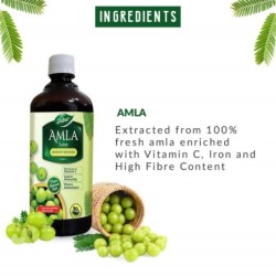 Dabur Amla Juice - Immunity Booster, Pure, Natural and 100% Ayurvedic