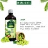 Dabur Amla Juice - Immunity Booster, Pure, Natural and 100% Ayurvedic