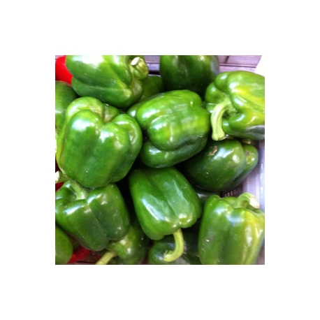 Green Capsicum 500g Green Capsicum 500g