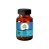 Organic India Heart Guard Cardiovascular Support, 60 Capsules