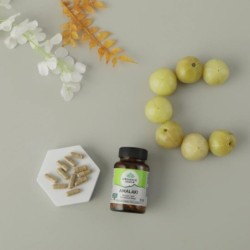 Organic India Amalaki Vit C & Antioxidant Boost, 60 Capsules