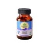 Organic India Brahmi Mental Fitness, 60 Capsules