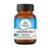 Organic India Breathe Free Respiratory & Congestion Relief