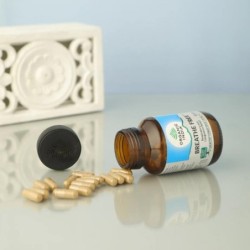 Organic India Breathe Free Respiratory & Congestion Relief