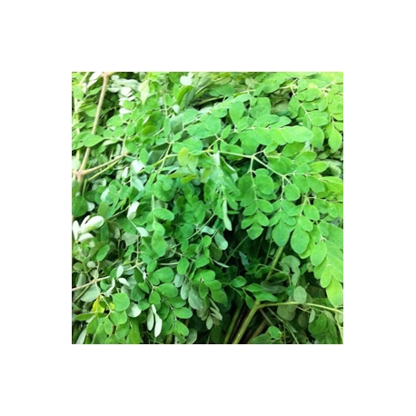 Methi Leaves Venthiya Keerai 1 Pkt Methi Leaves Venthiya Keerai 1 Pkt