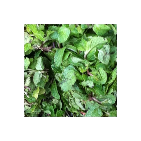 Mint Leaves Pudhina 100g Mint Leaves Pudhina 100g