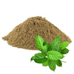 Ayurnutri Sirukurinjan Churnam (Gymnema Sylvestre) 100g