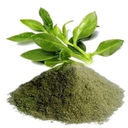 Ayurnutri Nilavembu Churnam (Kalmegh Powder) 100g