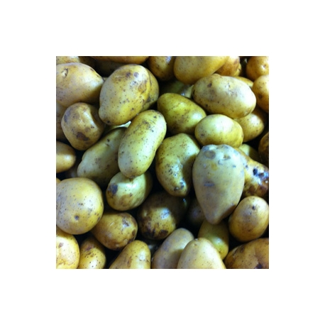 Onion 5kg Bag + Potato 5kg Box Onion 5kg Bag + Potato 5kg Box