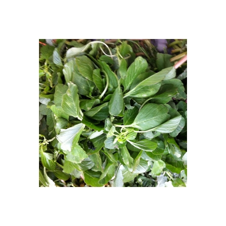 Palak Spinach 1 Pkt Palak Spinach 1 Pkt
