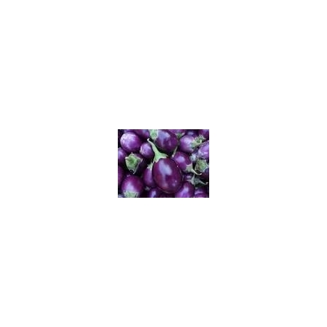 Round Brinjal Approx Kathiri Kaai 500g Round Brinjal Approx Kathiri Kaai 500g