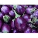 Round Brinjal Approx Kathiri Kaai 500g Round Brinjal Approx Kathiri Kaai 500g