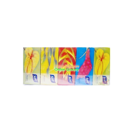 Scotts Box Facial Tissues 150s Per Box 5 Boxes Scotts Box Facial Tissues 150s Per Box 5 Boxes