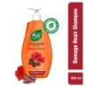Nyle Naturals Damage Repair Shampoo with Goodness of Shikakai