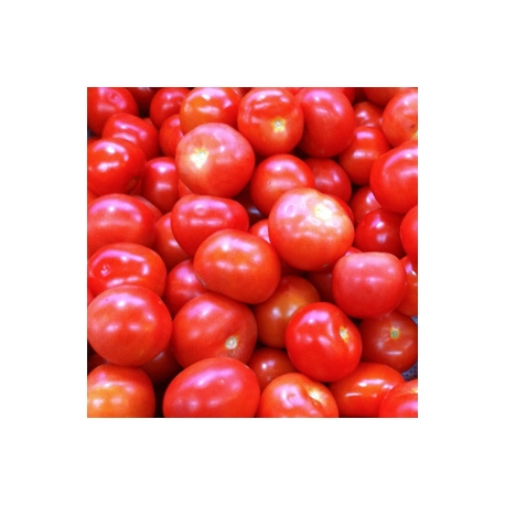 Tomato 1kg Tomato 1kg