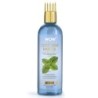 Wow Skin Science Cool Mint Hair Oil - with Comb Applicator - Non
