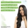 Mamaearth Lemon Anti-Dandruff Conditioner with Lemon & Ginger
