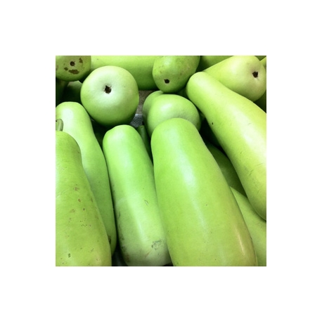 Bottle Gourd 1 Pcs