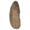 Natural Loofah from Bottle Gourd (Vegetable Luffa) 100% Organic Bath