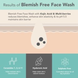 Lotus Dermabotanics Kojic Acid + Multi Berry Blemish - Free Face Wash