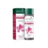 Biotique Bio Mountain Ebony Vitalizing Serum Prevents Hair Fall