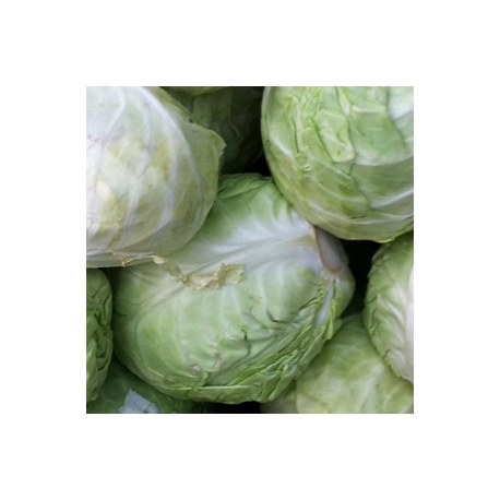 Cabbage 500g